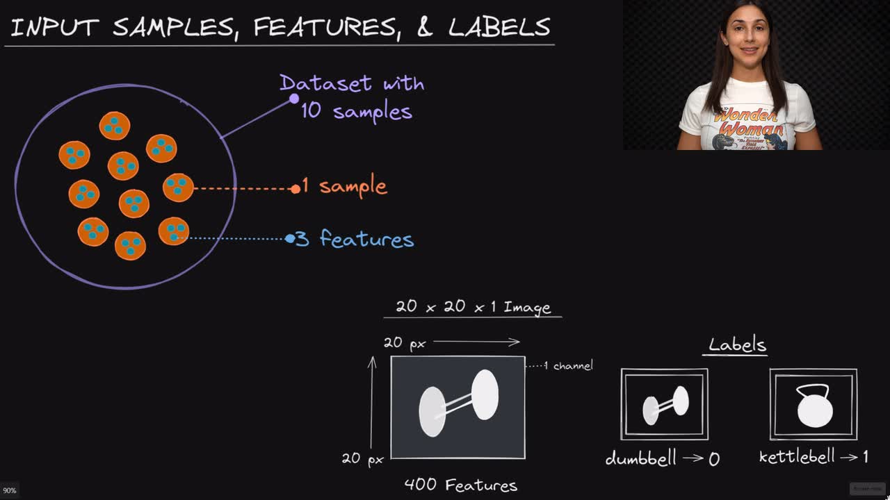 Lesson thumbnail for Input Samples, Features, Labels - Deep Learning Dictionary