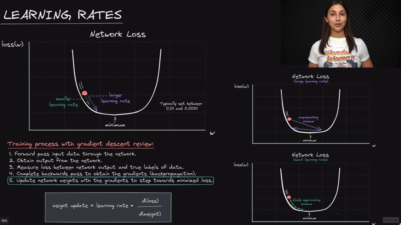 Lesson thumbnail for Neural Network Learning Rate - Deep Learning Dictionary